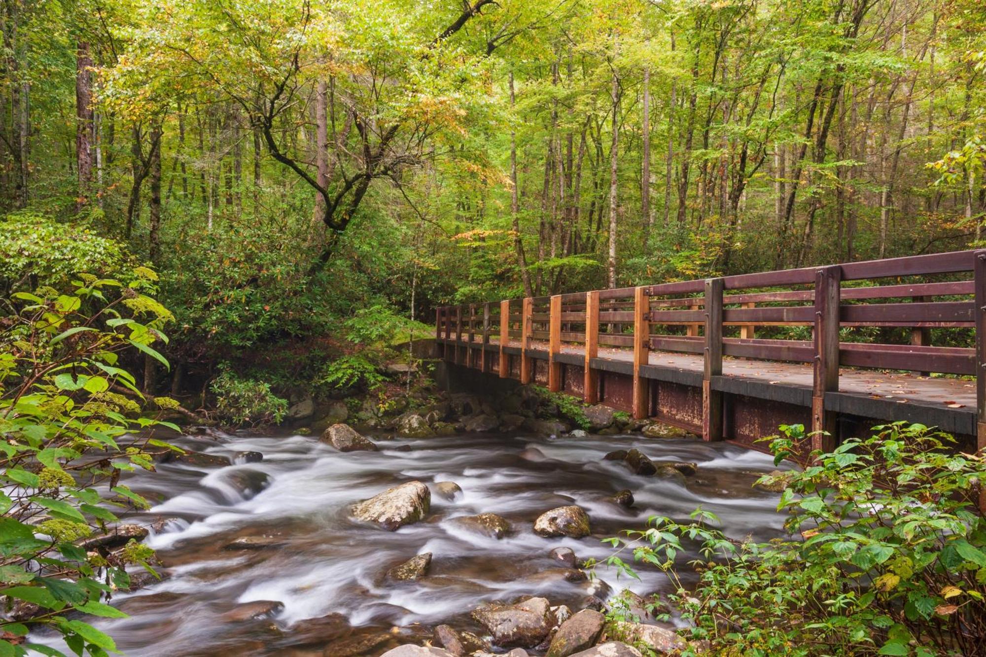 River Song, Near River, Hot Tub, Foosball, Wifi 1089 Free Tickets Each Paid Day, Dollywood And More Sevierville Bagian luar foto